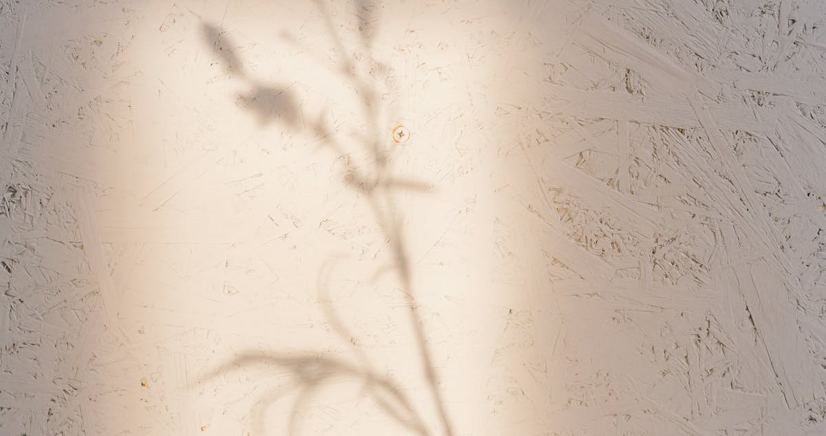 Simple Habits for Instant Mental Clarity